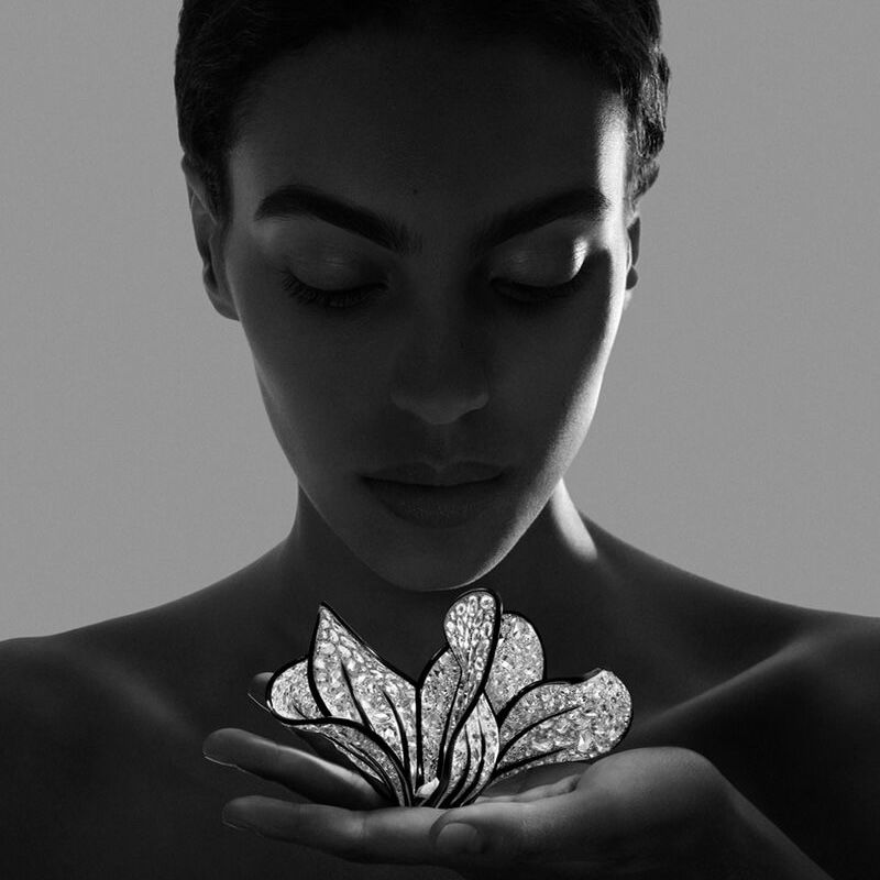 Boucheron's Poetic Reverie: Revolutionizing Industry Discourse through Creative High Jewelry